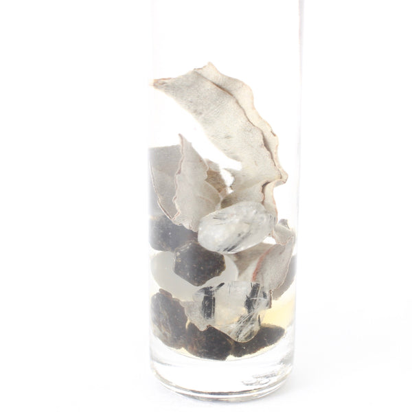 white background, clear glass oil roller bottle with a black lid. inside is dried sage, cats eye, black tourmaline and tourmalinated quartz in an oil blend. There is a holographic gem and aura logo on the bottle.