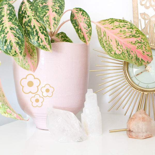 white desk with a pink pot- in the pot is a green and pink plant. there are crystals and a gold clock on the desk around the pot. on the pot, there is a group of 3 90s style flower decals of various sizes.