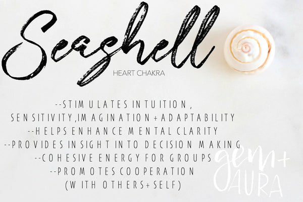 seashell on a white and grey marble background, text reads "seashell" and describes healing properties of seashell. white "gem and aura" logo in lower right corner